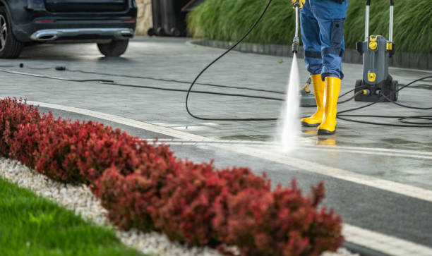 Best Commercial Pressure Washing  in Mamou, LA