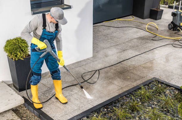 Best House Pressure Washing  in Mamou, LA